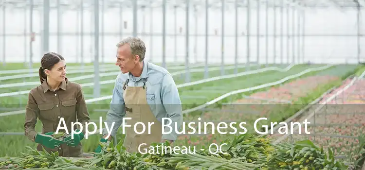 Apply For Business Grant Gatineau - QC